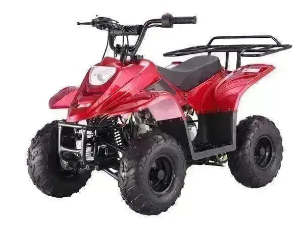 Beginners small 110cc Kids ATVs