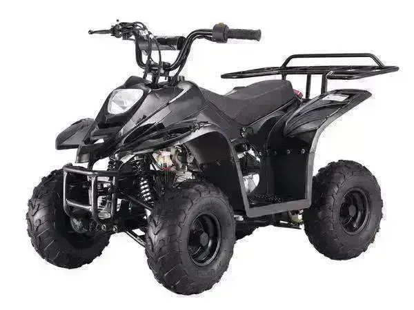 Beginners small 110cc Kids ATVs