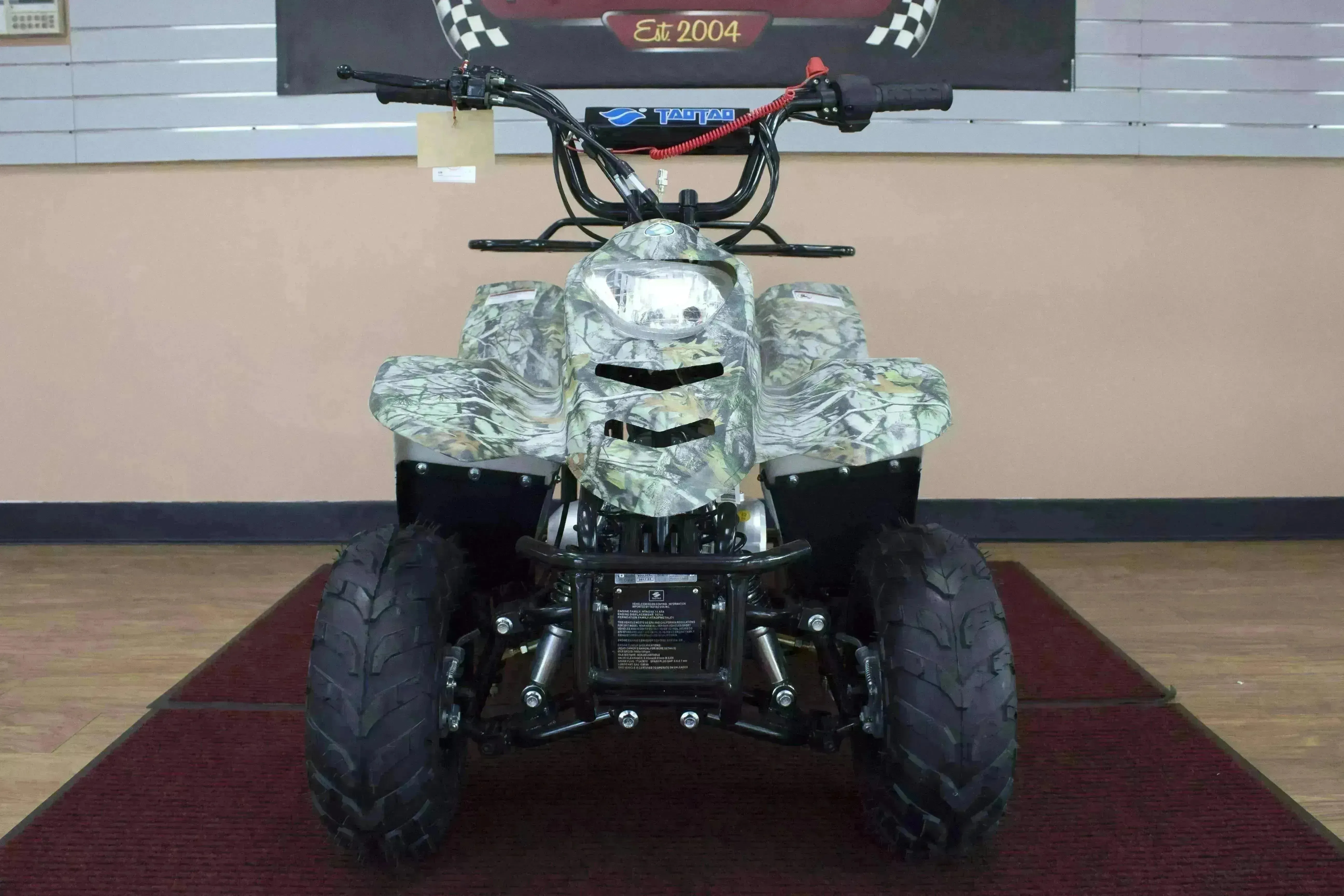 Beginners small 110cc Kids ATVs