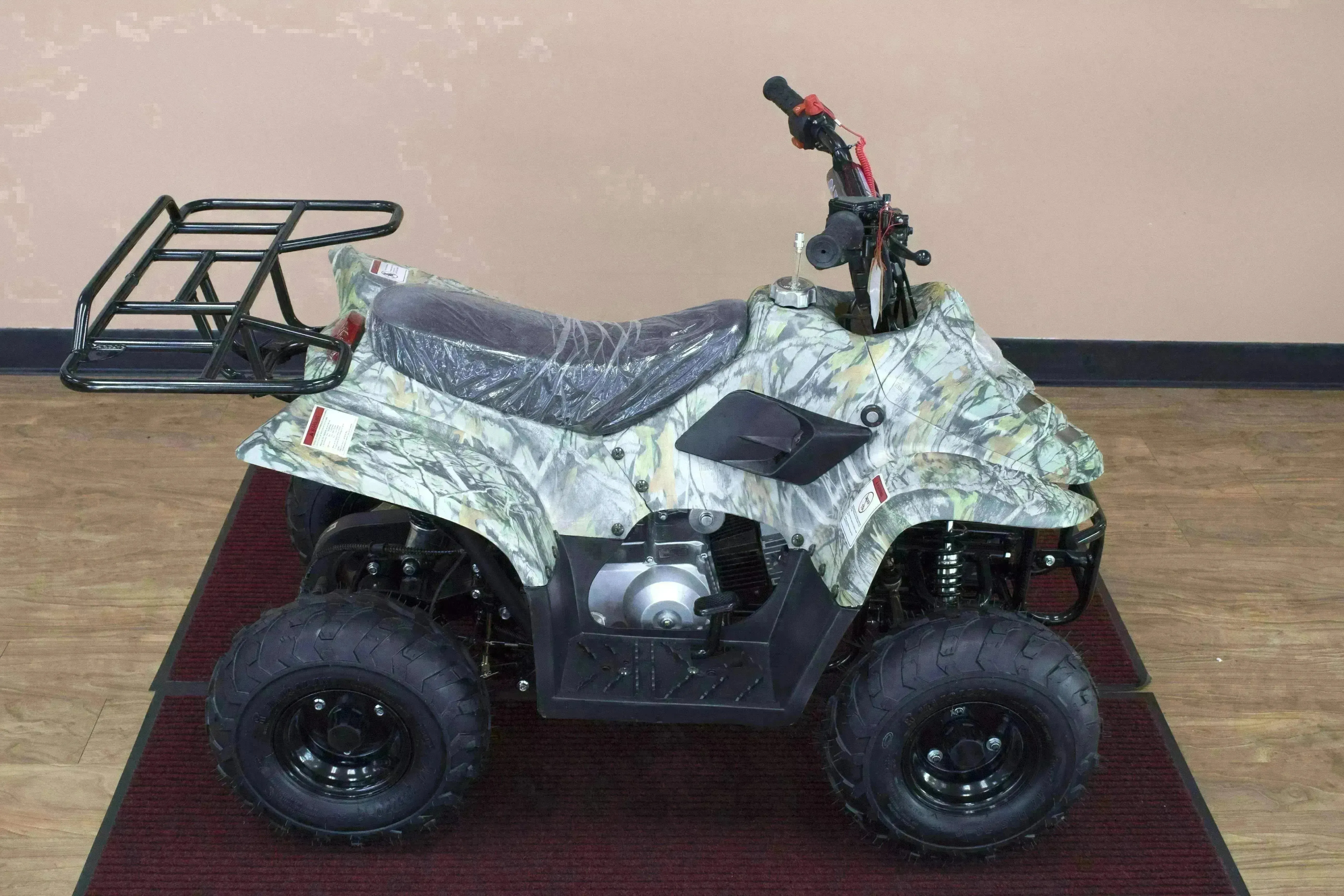 Beginners small 110cc Kids ATVs