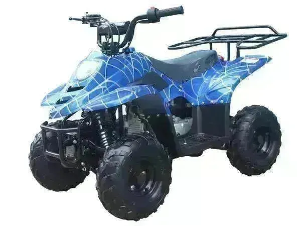 Beginners small 110cc Kids ATVs