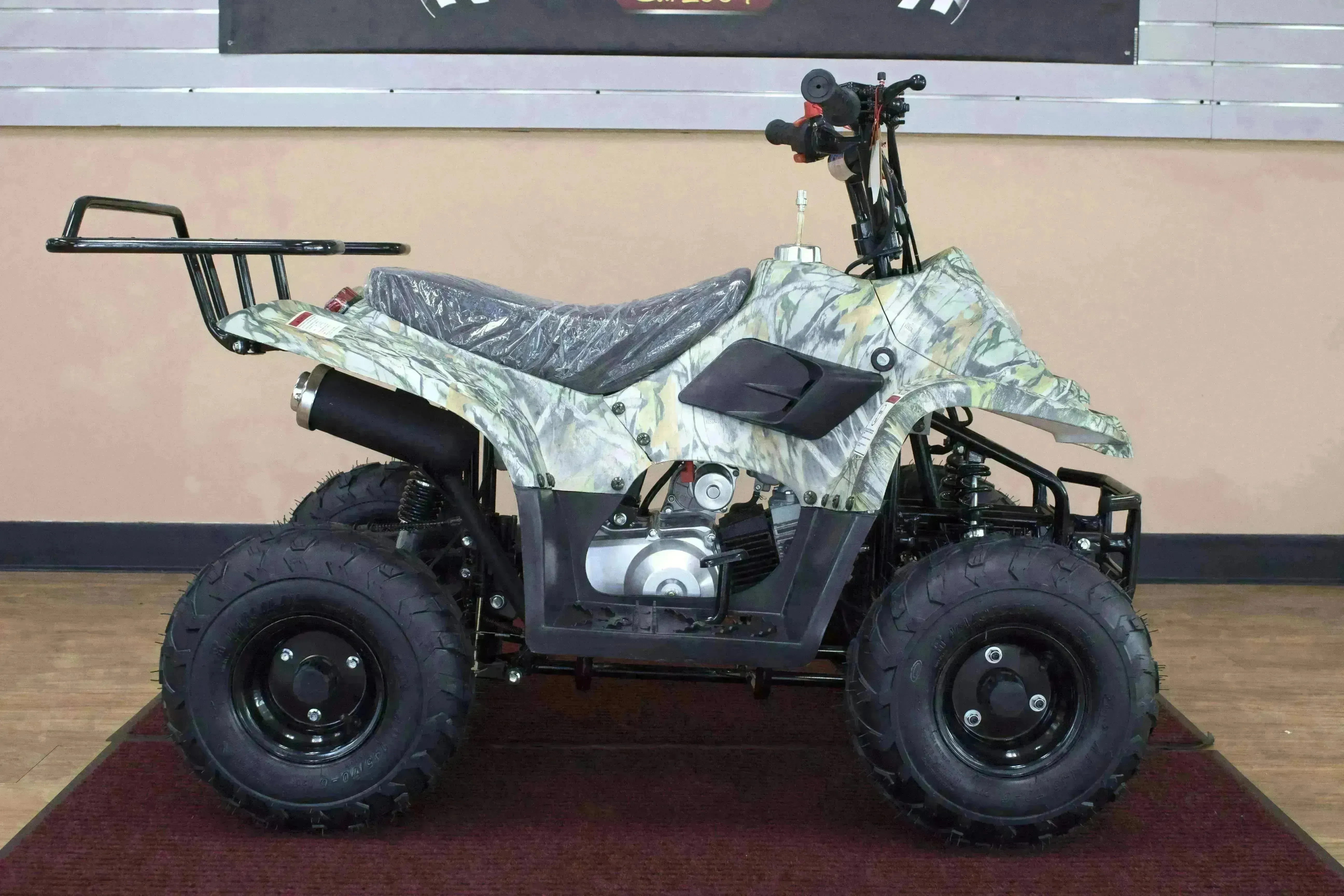 Beginners small 110cc Kids ATVs