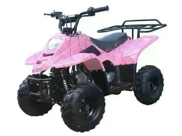 Beginners small 110cc Kids ATVs
