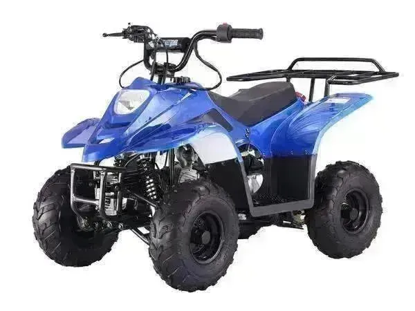 Beginners small 110cc Kids ATVs