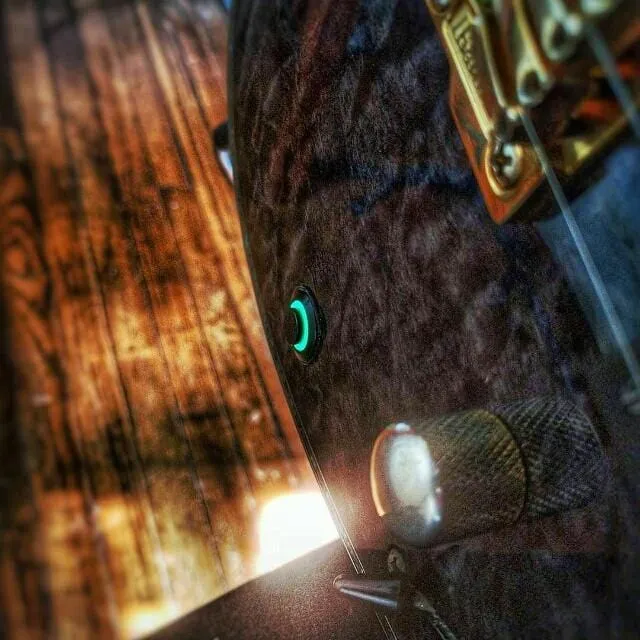 Black Stealth, LED Guitar Killswitch