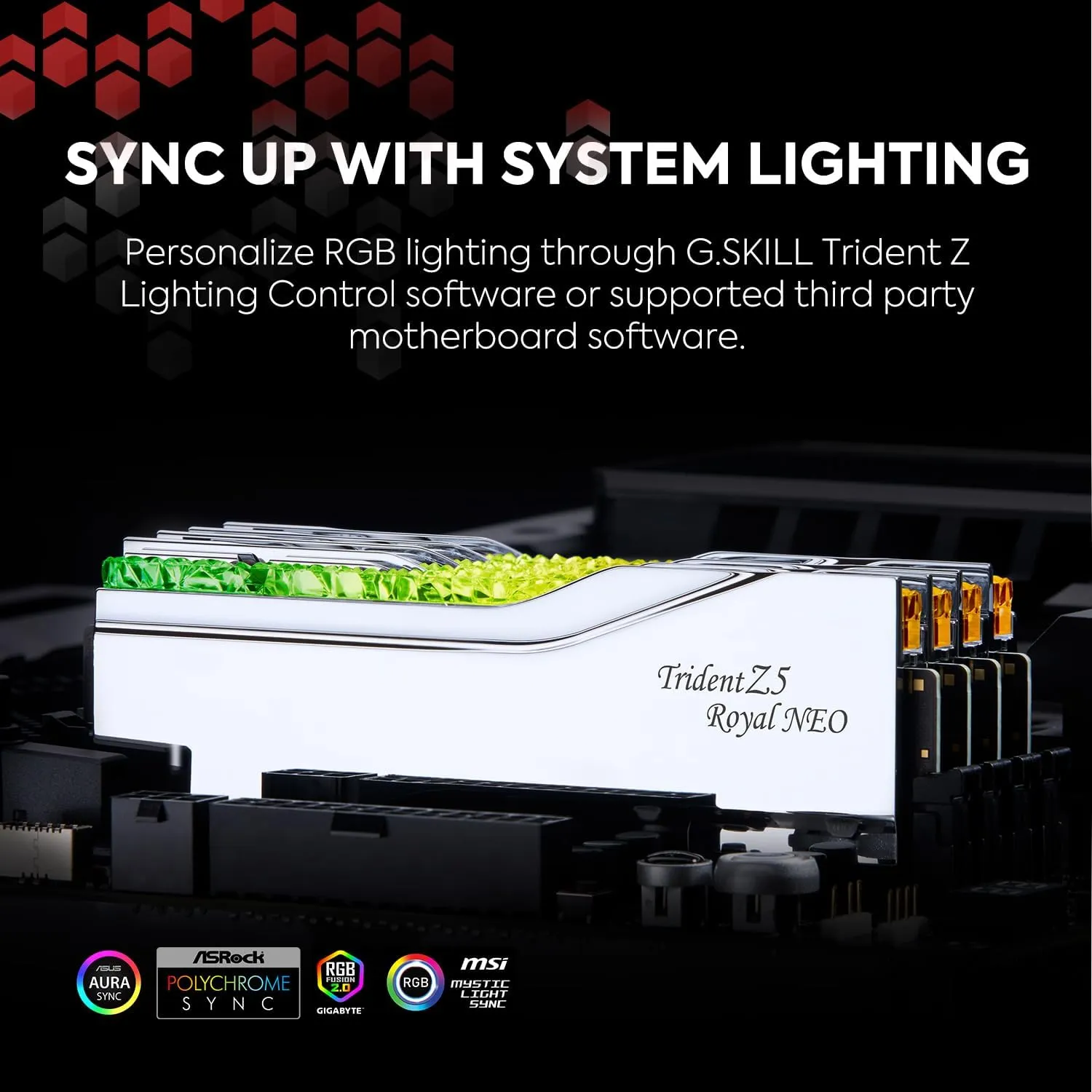 G.SKILL 32GB Kit (2x16GB) Trident Z5 ROYAL Neo RGB Silver F5-6400J3039G16GX2-TR5NS DDR5 6400MHz Memory AMD EXPO