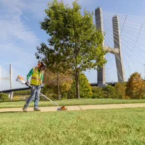 Stihl FCA 135 Cordless lawn edger
