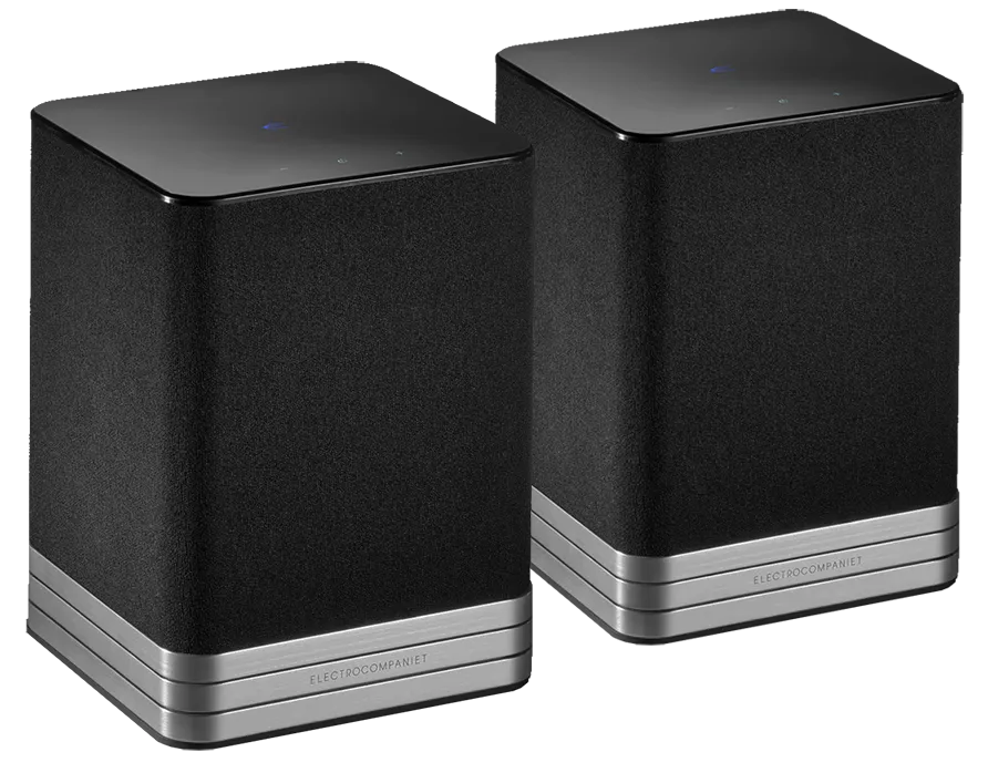 TANA L-1 Add-on speaker